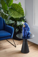 ⁦מוצר פשוט⁩ – תמונה ⁦2⁩