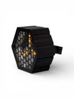 ⁦SHAGGY S⁩ – תמונה ⁦5⁩